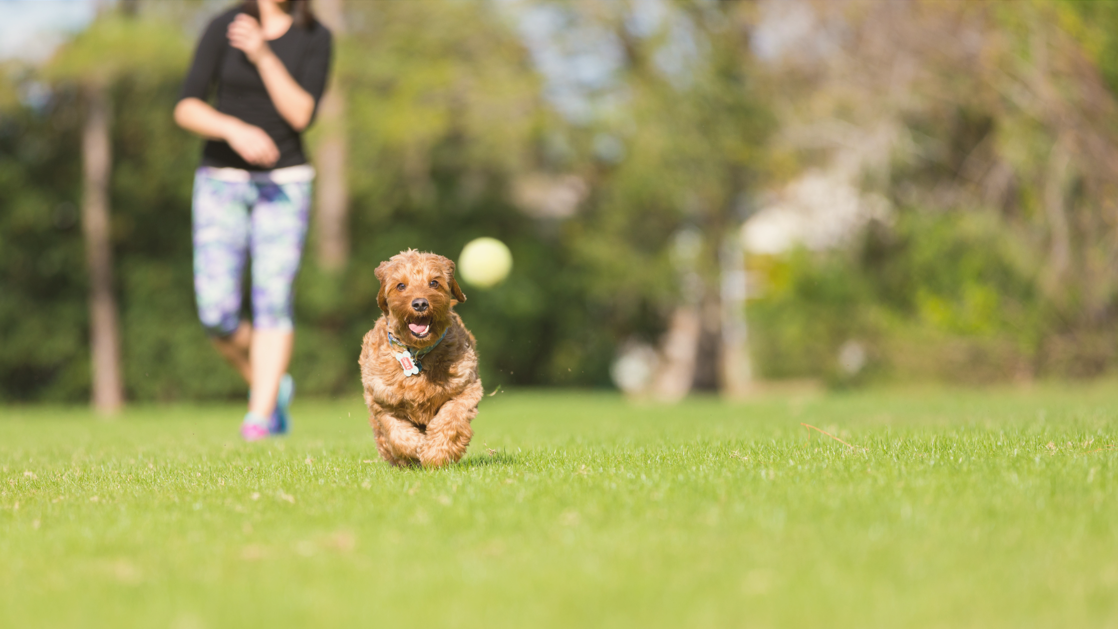 Pet friendly living in central Texas